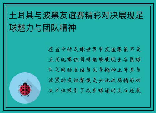土耳其与波黑友谊赛精彩对决展现足球魅力与团队精神