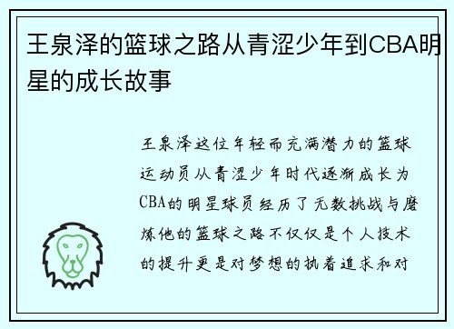 王泉泽的篮球之路从青涩少年到CBA明星的成长故事